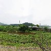 오!백년짬뽕_3