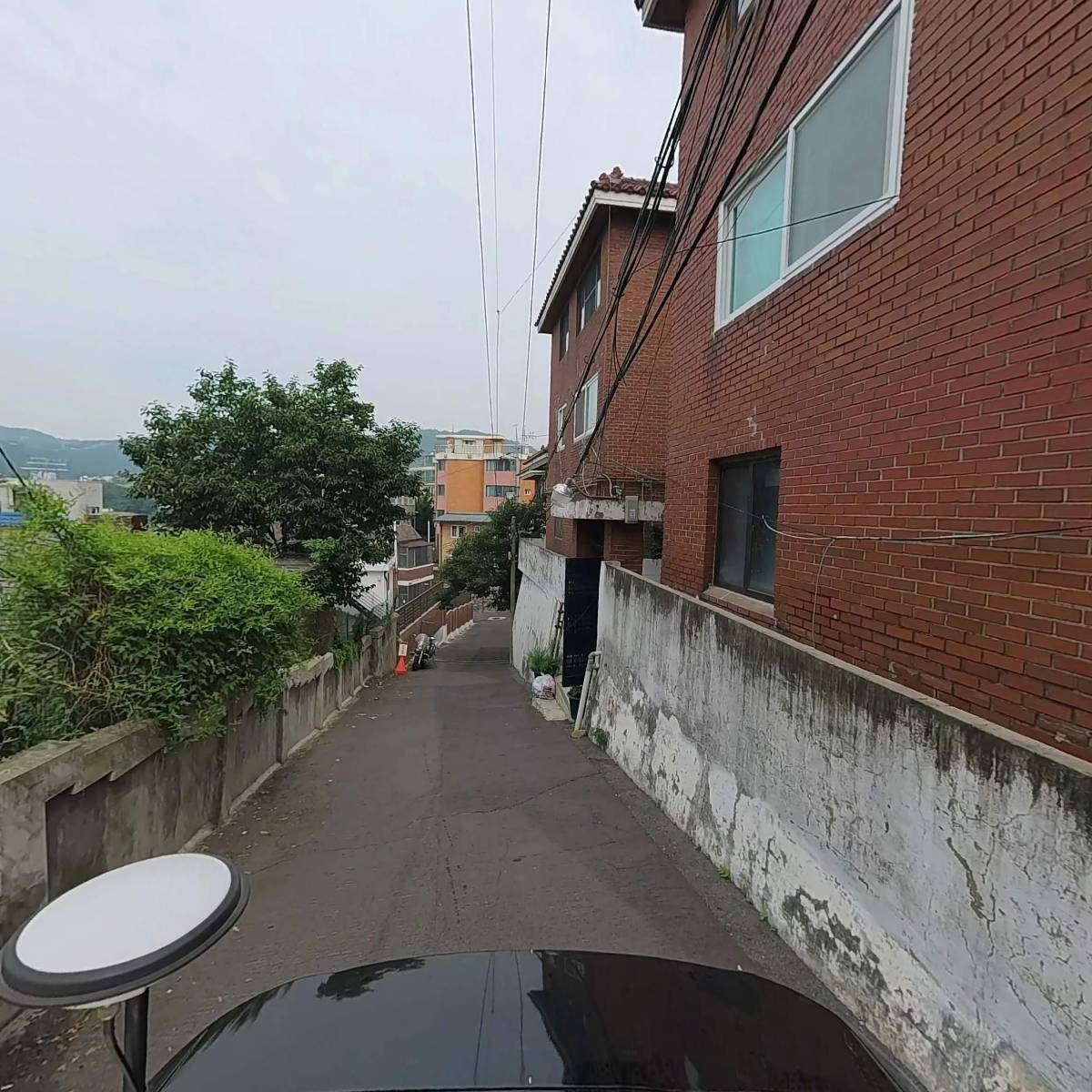 보오라코리아_2