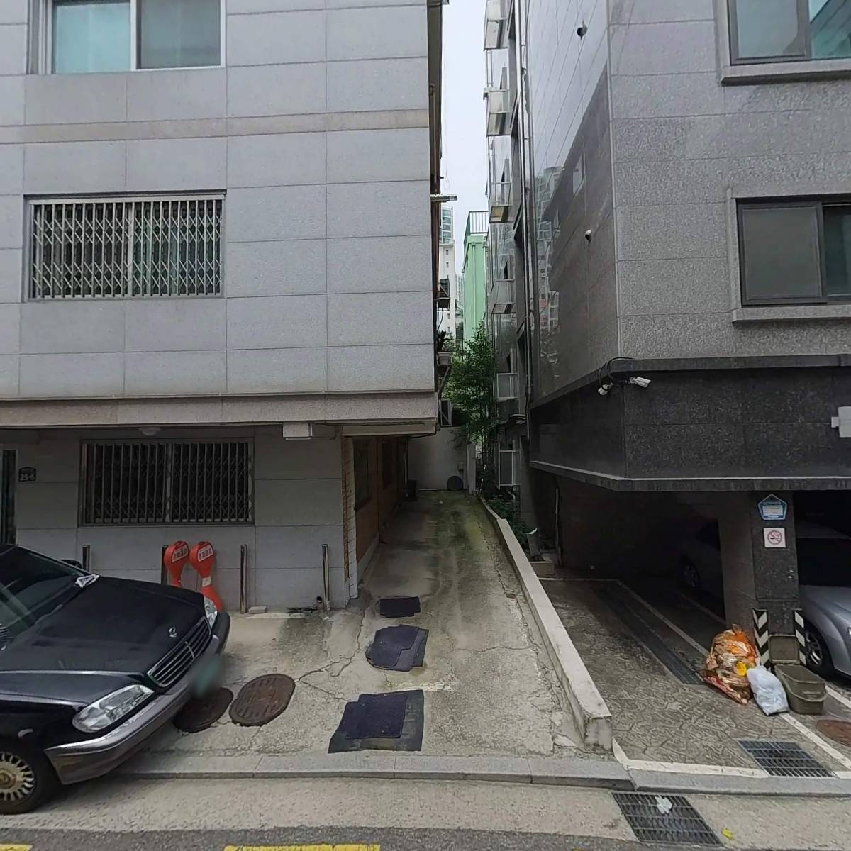 비스킷버튼