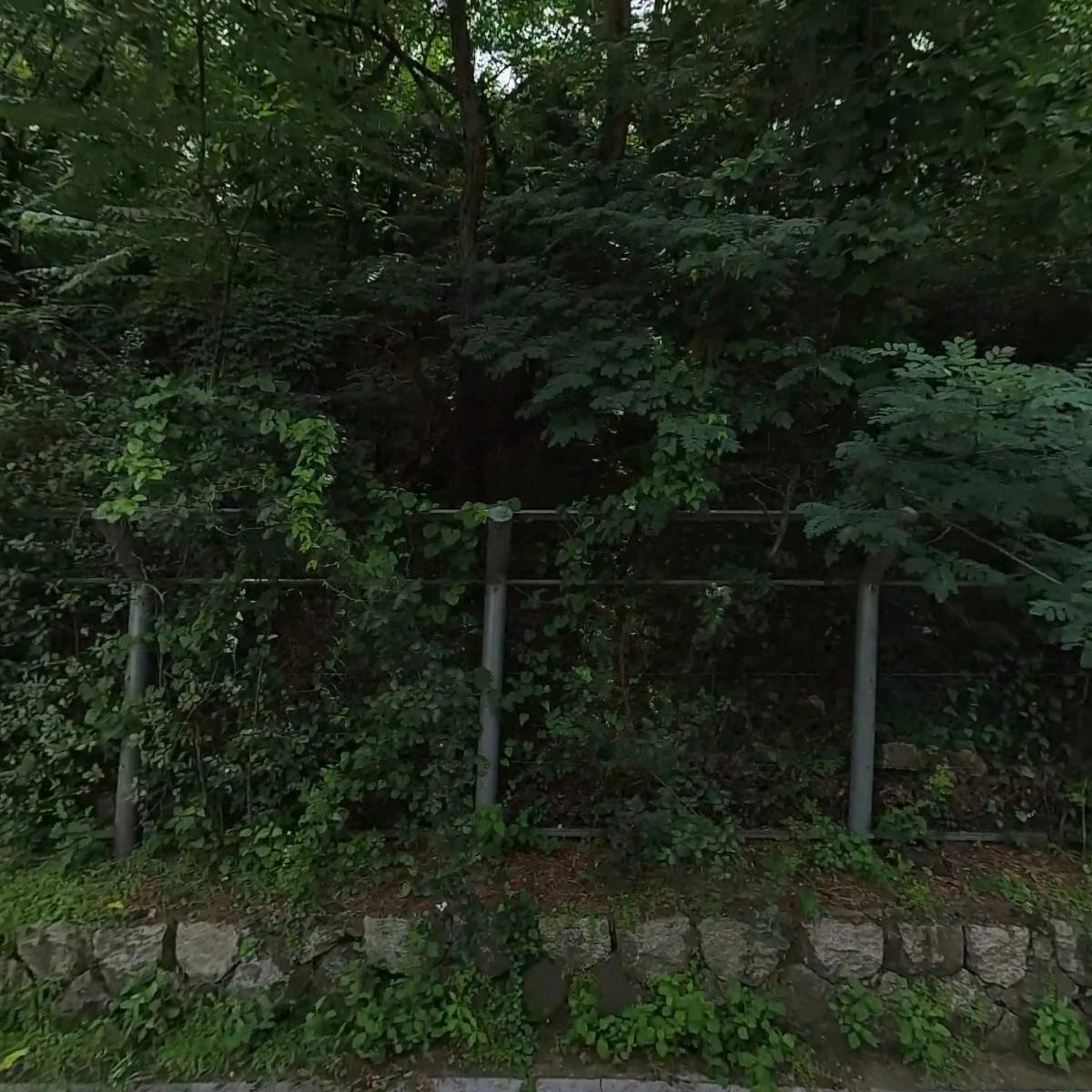 한국화학진흥(주)
