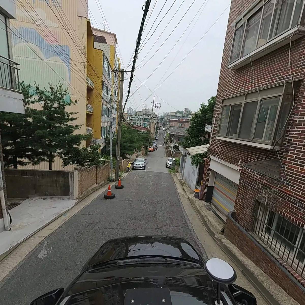 모아시스_4