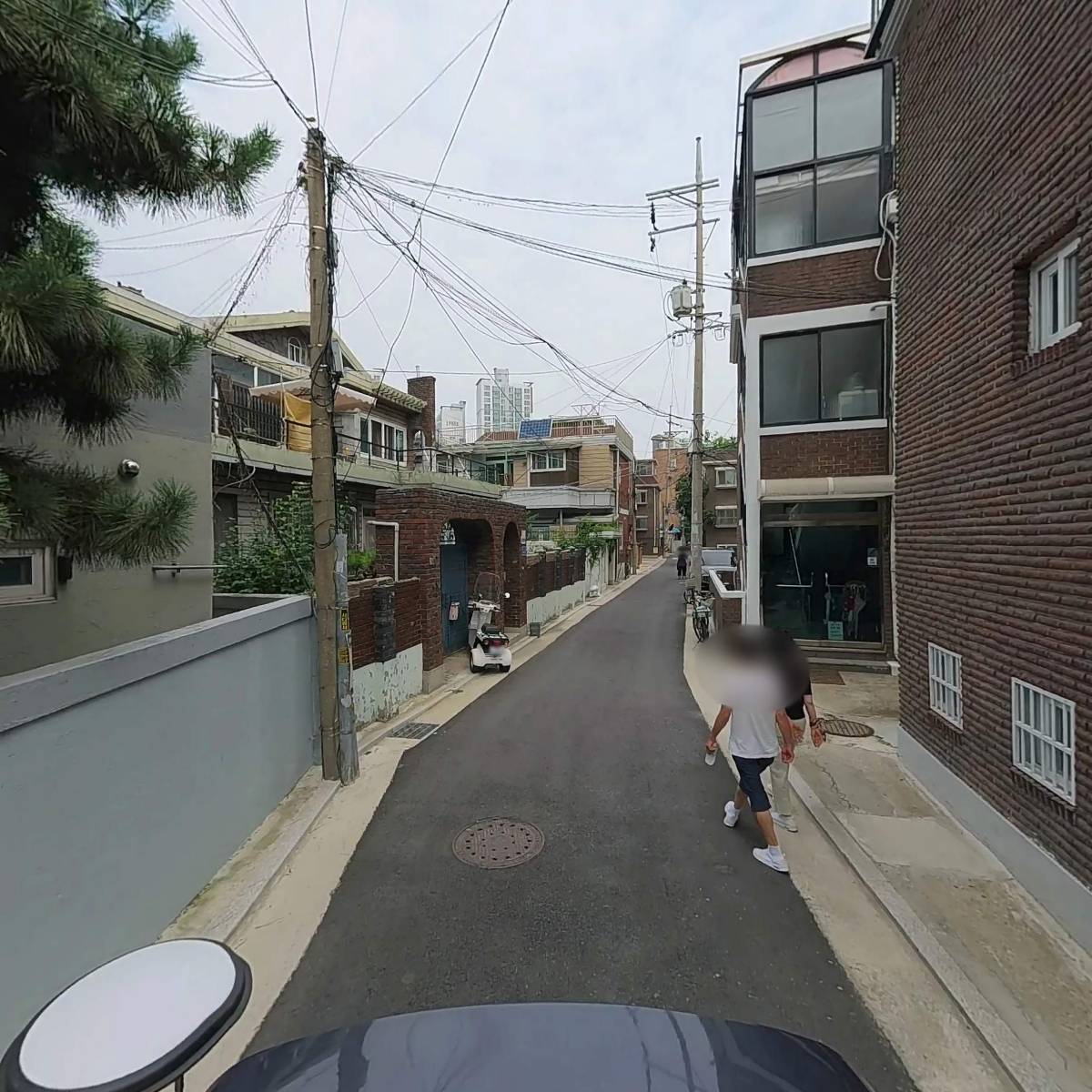 리바이탈래쉬코리아_2
