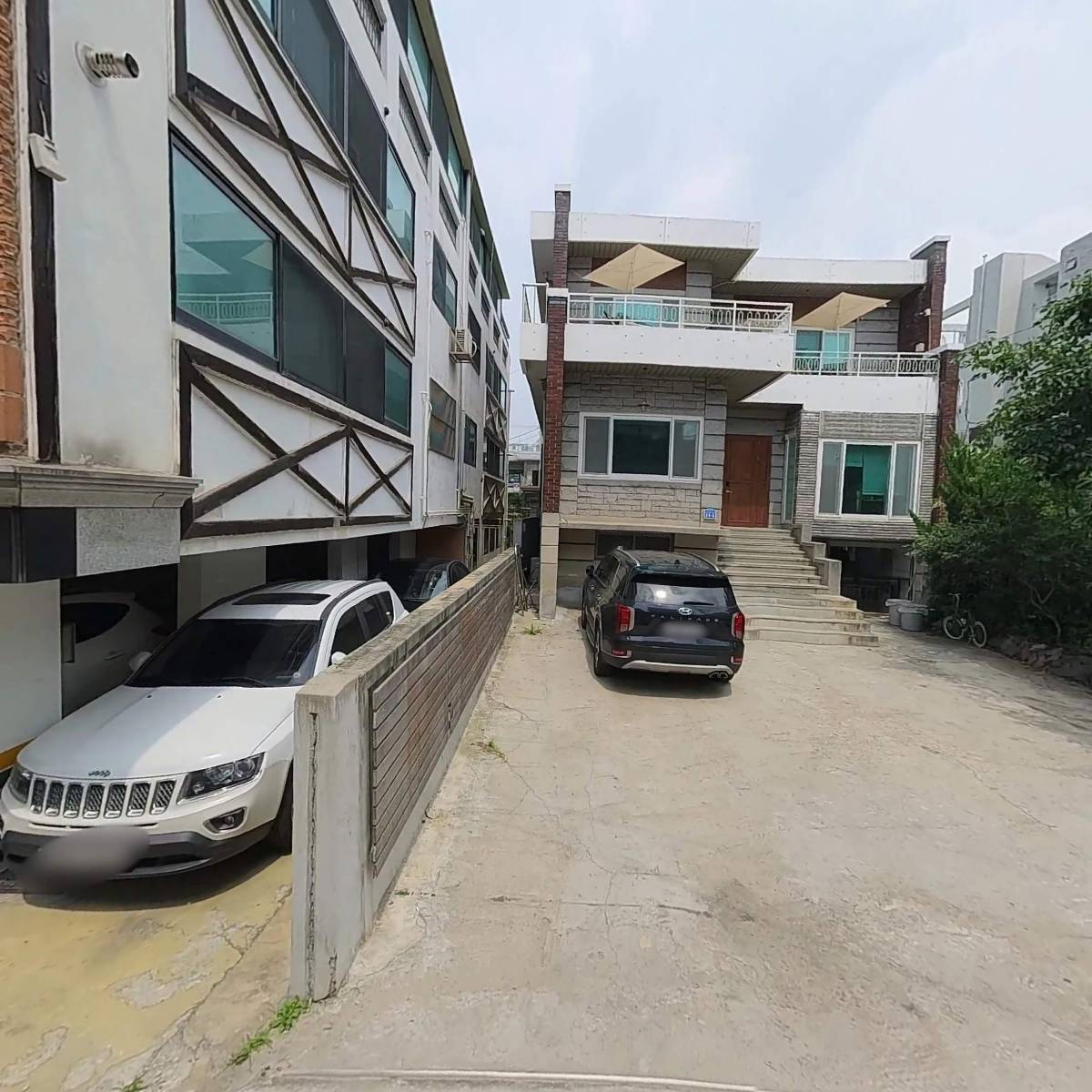 컴패니멀스_3