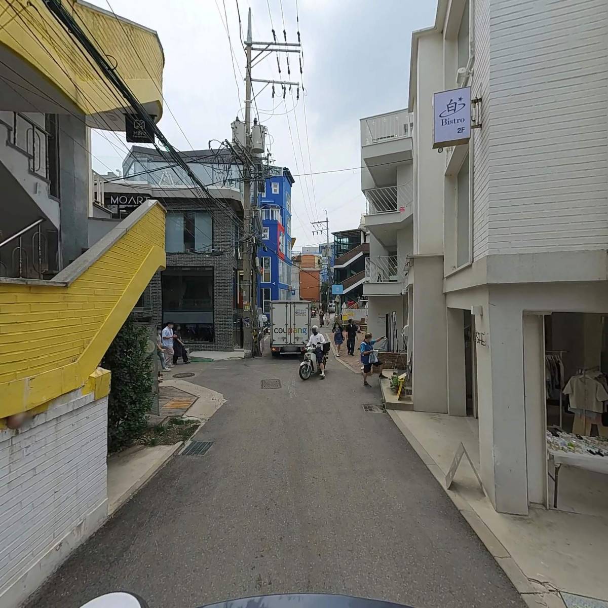 루피나_2