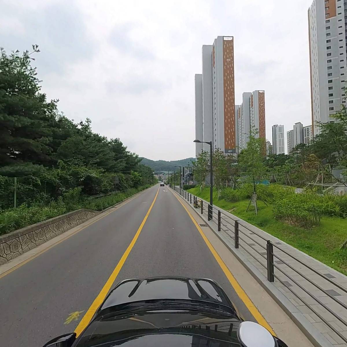 라이키펫_4
