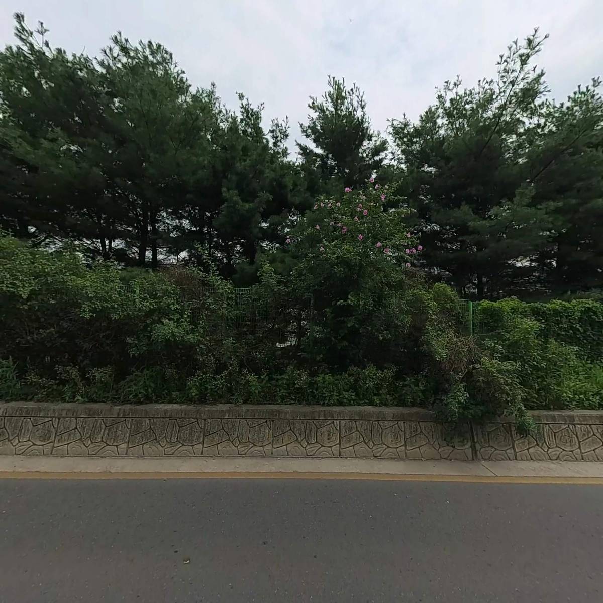 라이키펫_3