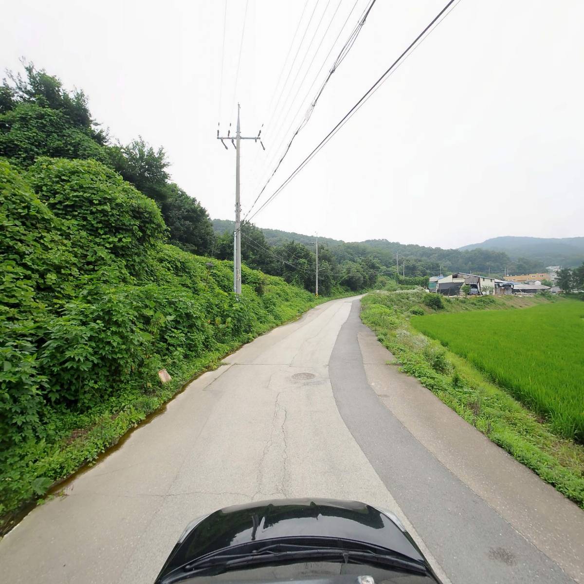 （주）꼬미다_4