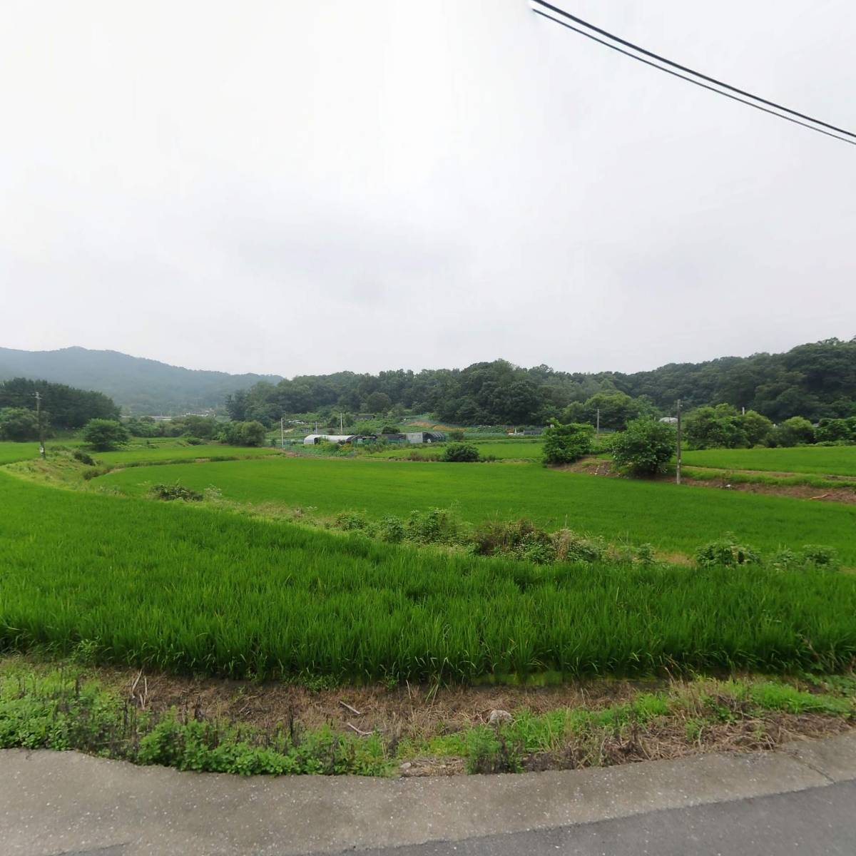 （주）꼬미다