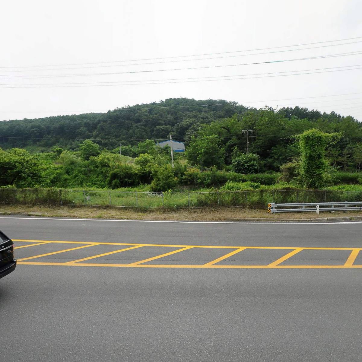 덕인제약(주)