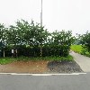강화농부_3