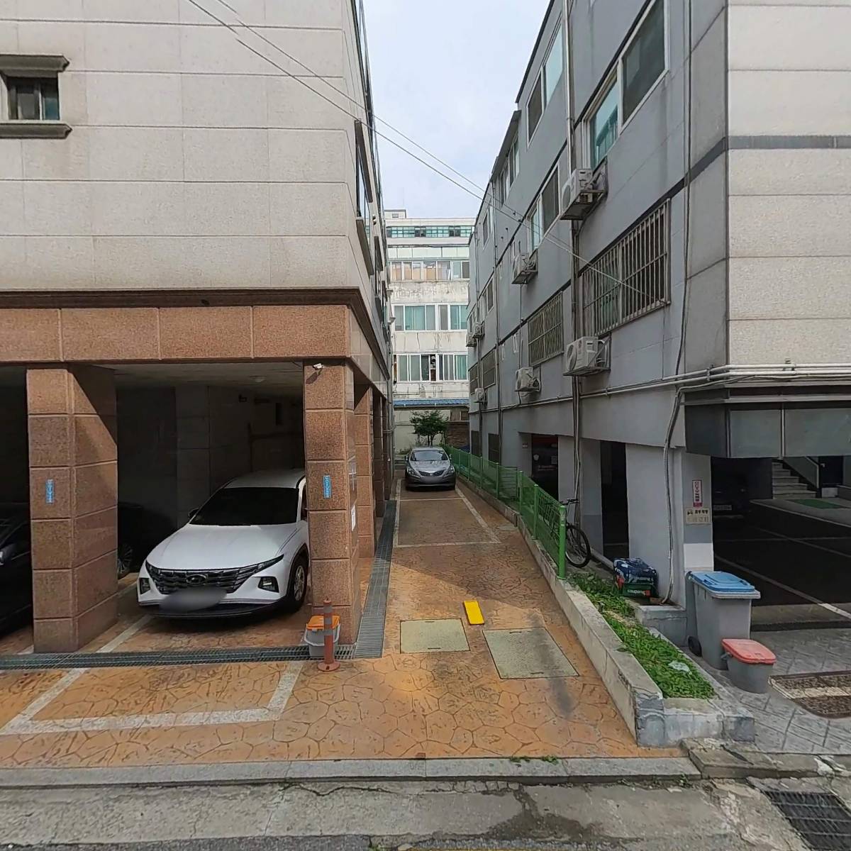 데이데어(DAYDARE)