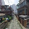 하백노리_2