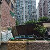 하백노리