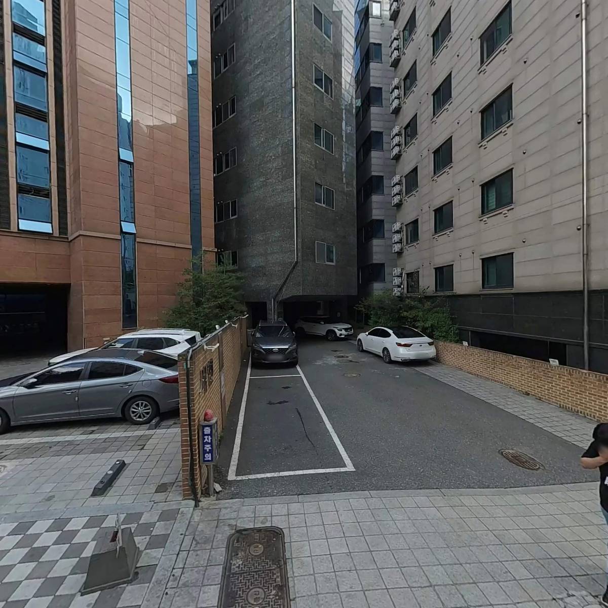 라엘리비키