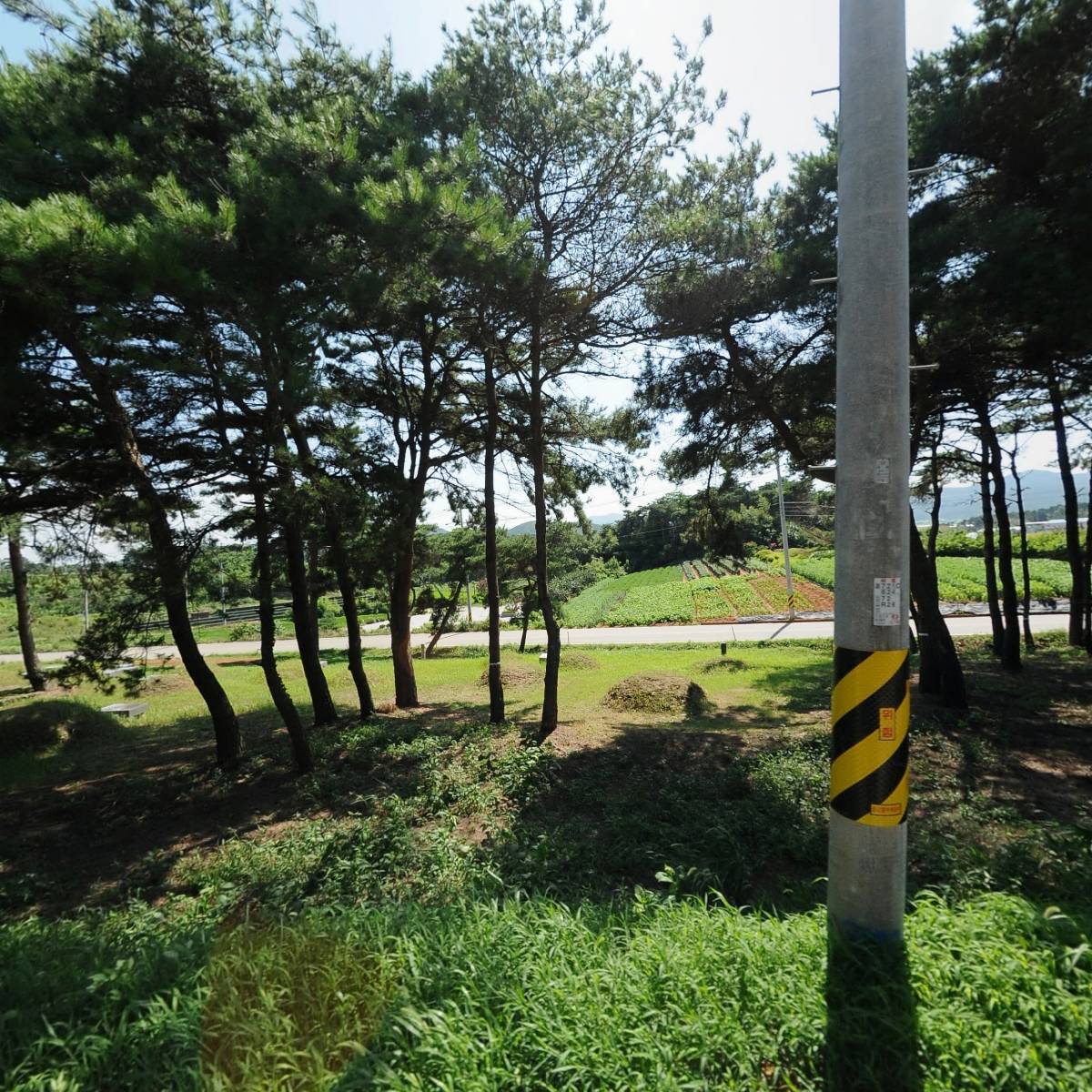 에스이솔루션주식회사