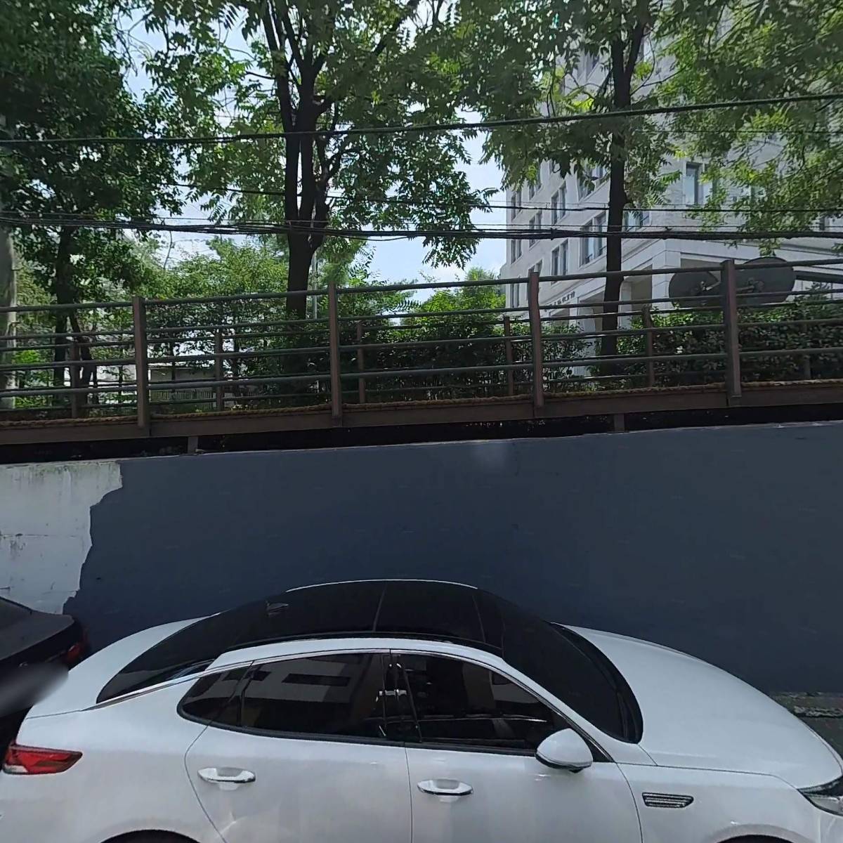 세븐칼라사진_3