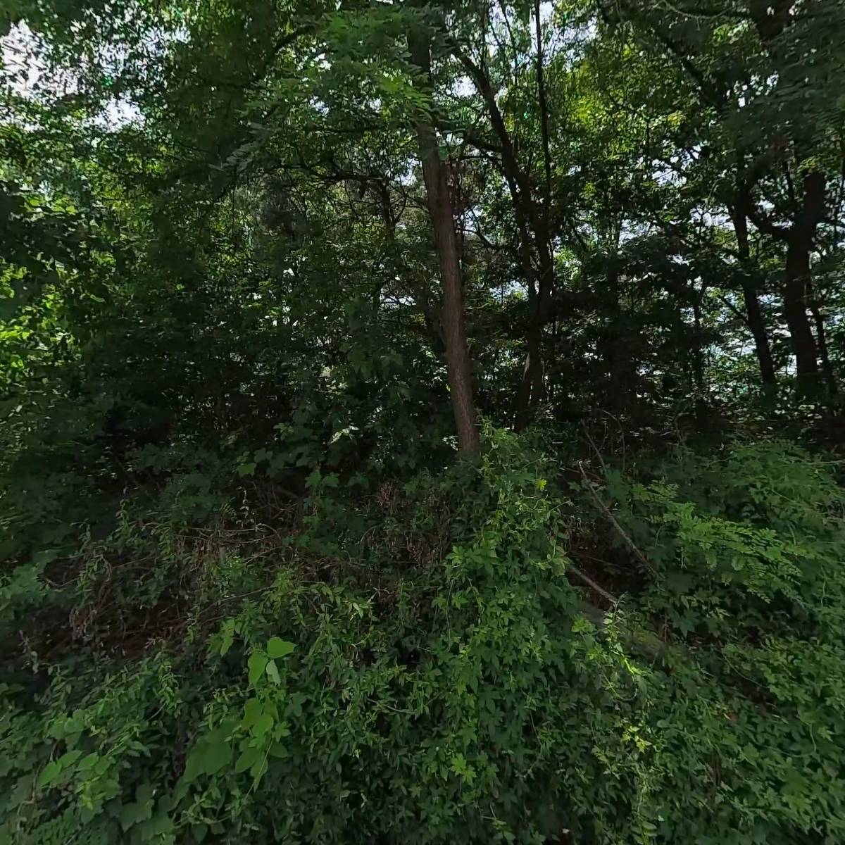 태경스틸산업 주식회사_3