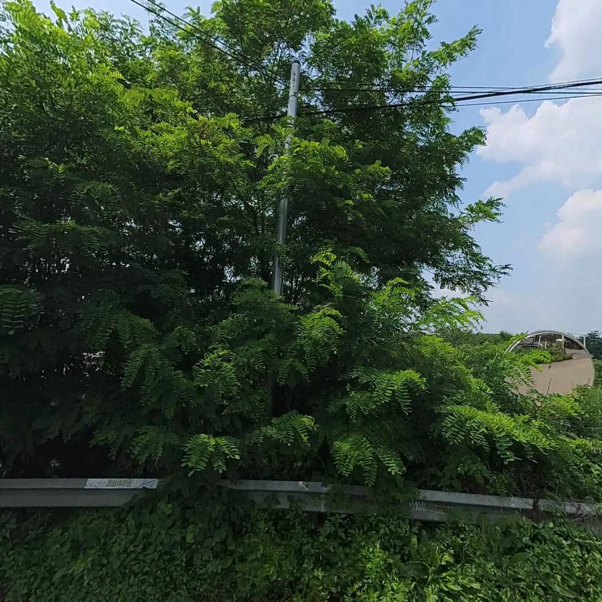 주식회사 코리아렌트카