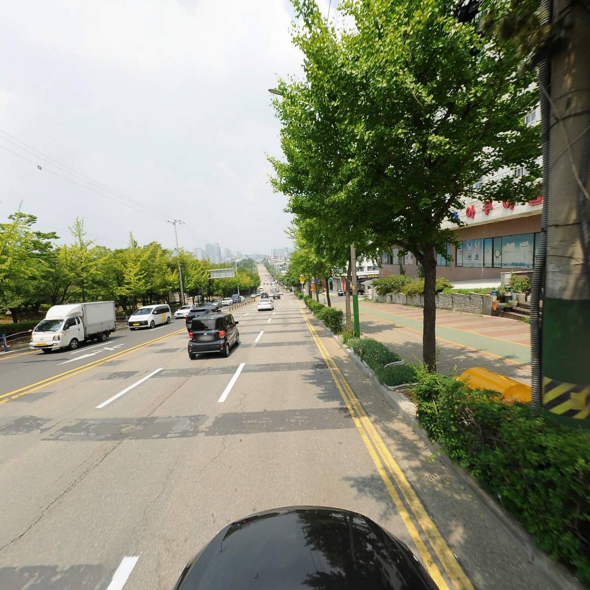 강아지와고양이나라동물병원_4