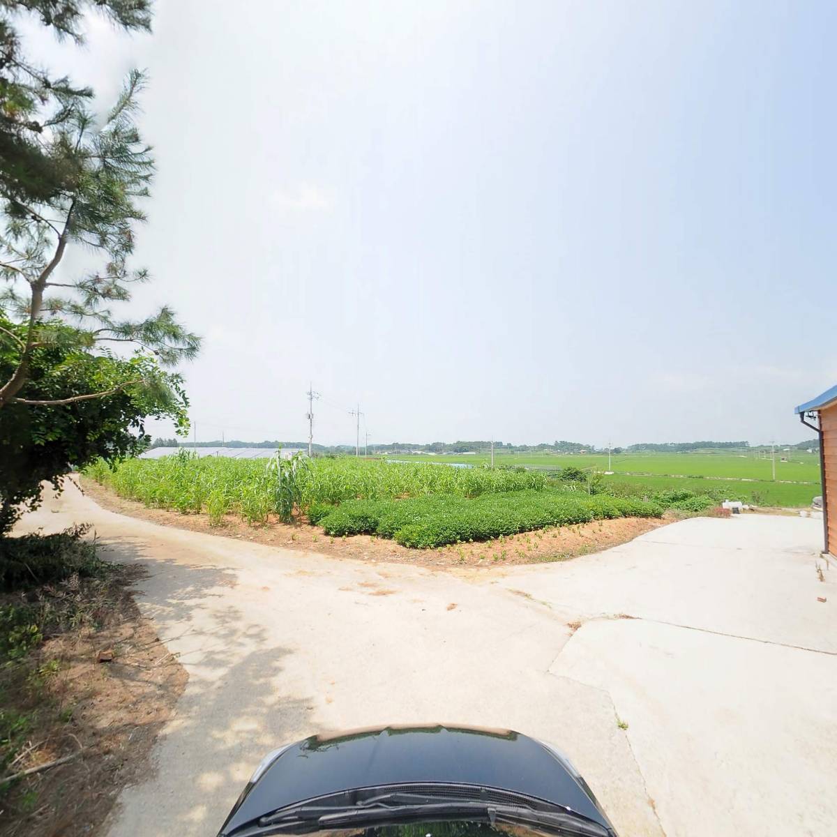 동진농장영농조합법인_4