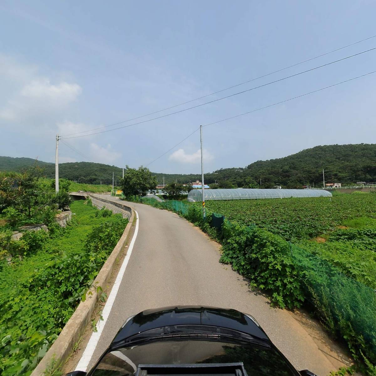 위플독_4