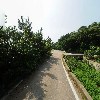 위플독_2