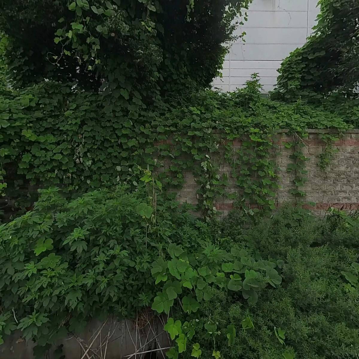 평서원목장_3