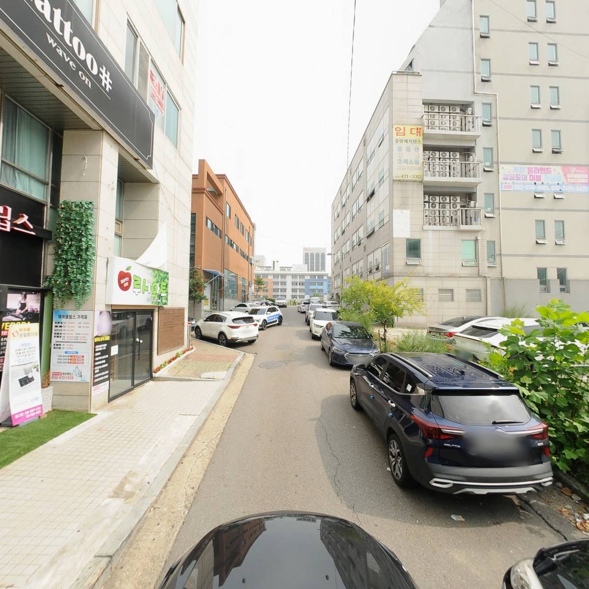 최신유행_4