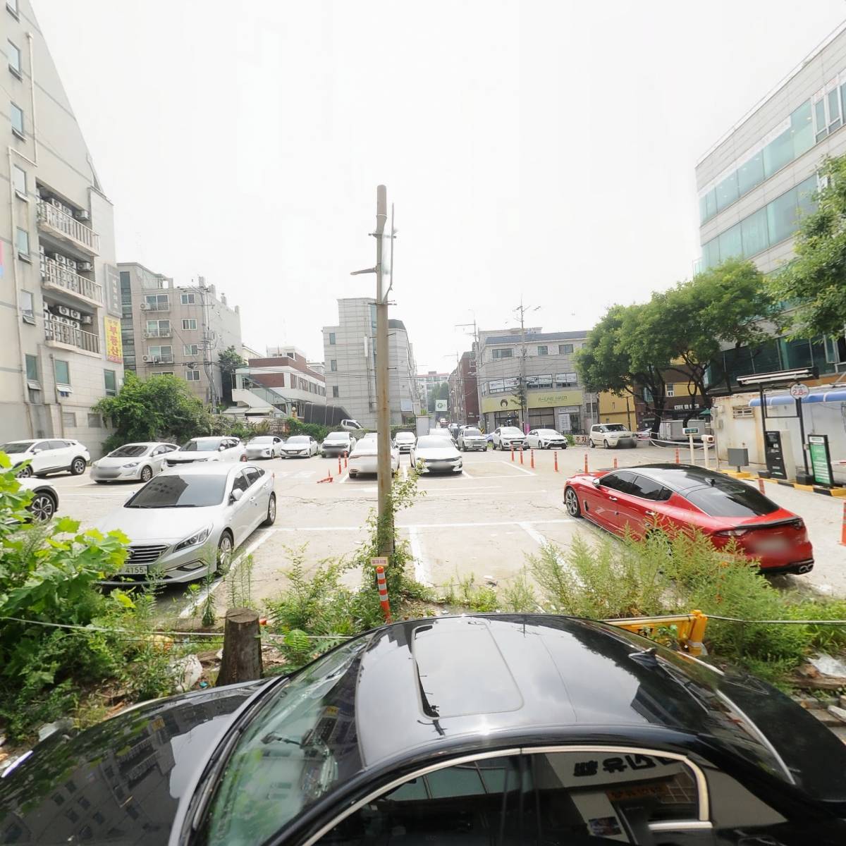 최신유행
