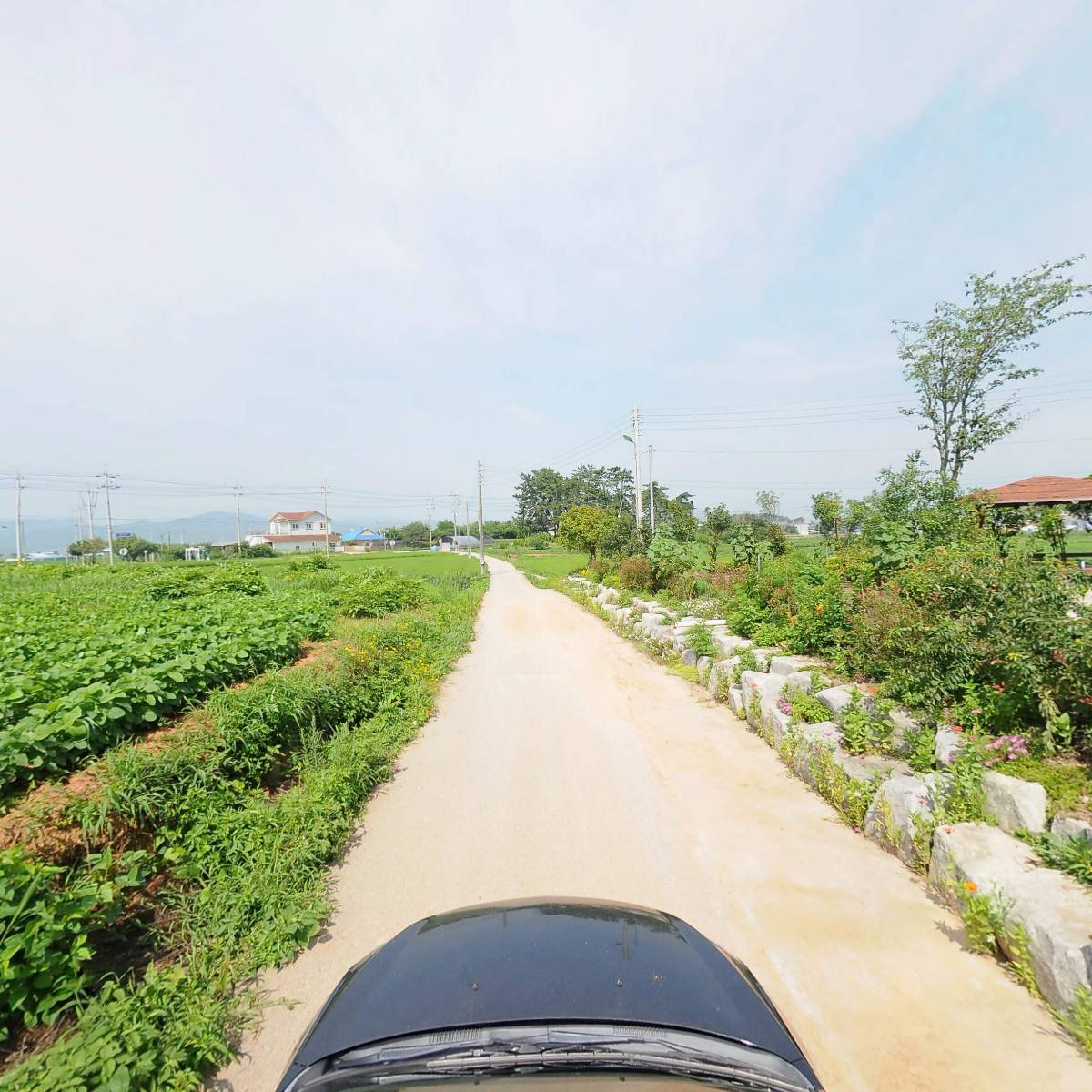 산지개발주식회사_4