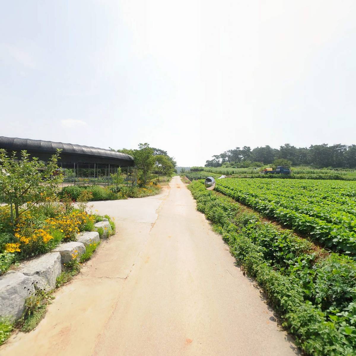 산지개발주식회사_2