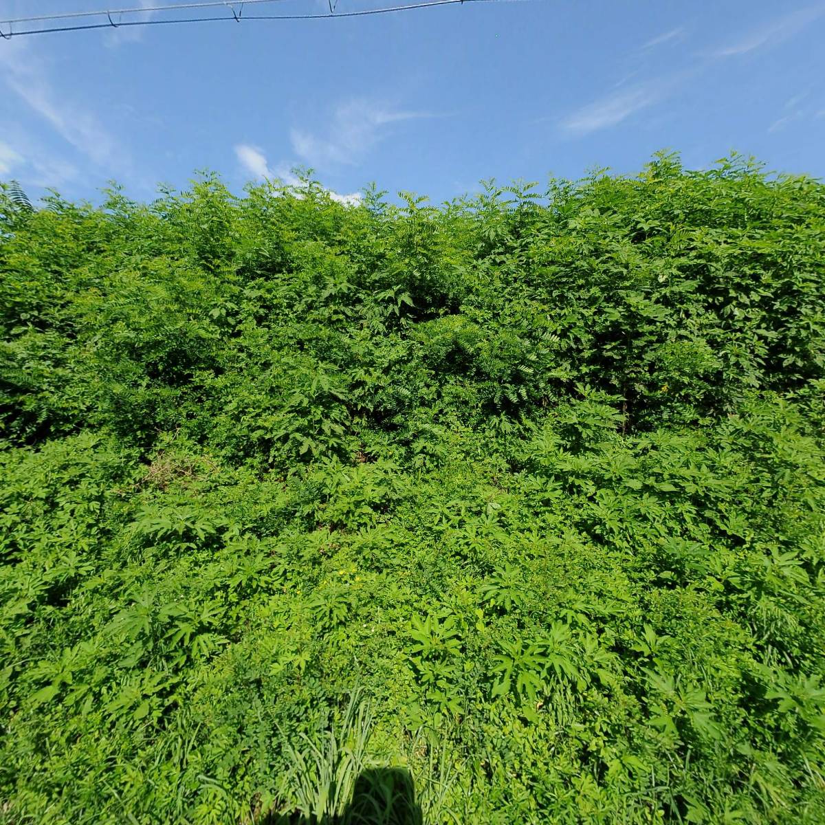 보령산업 주식회사