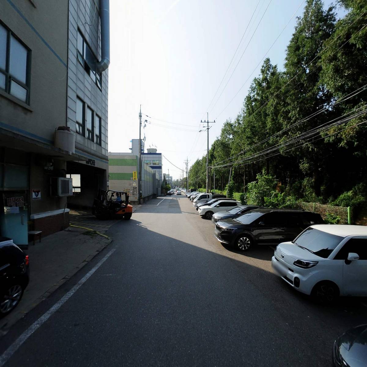 리퍼스_2