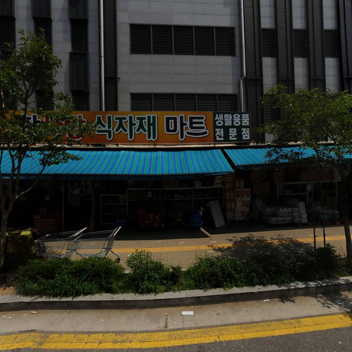 따뜻한분양소 인천점 강아지 고양이 무료 분양 파양_3