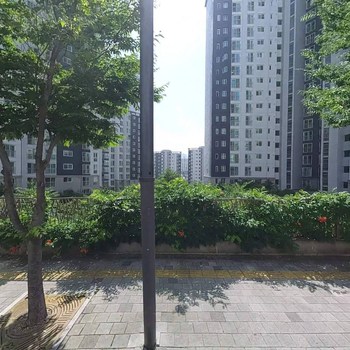 포스트픽소