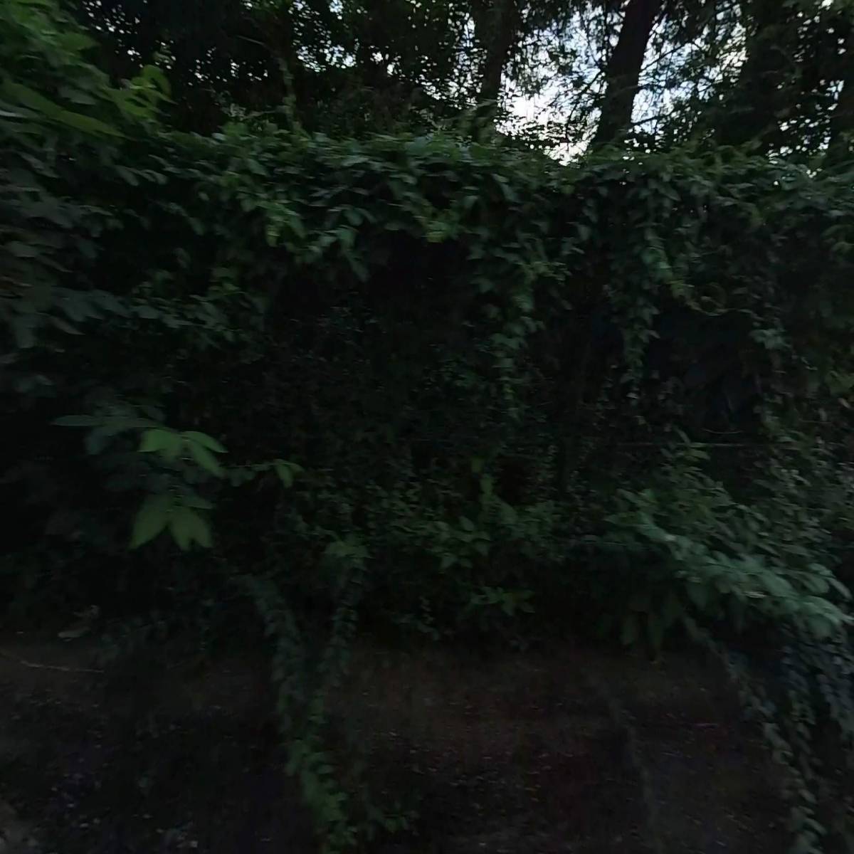 (주)삼영에스앤씨