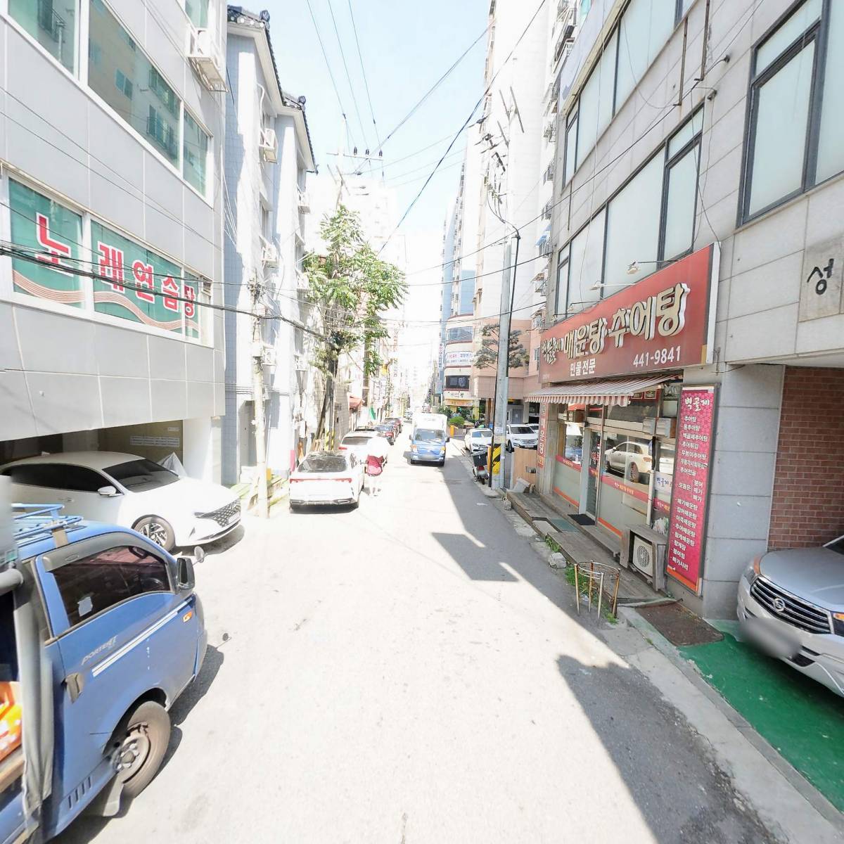 본차이나_2