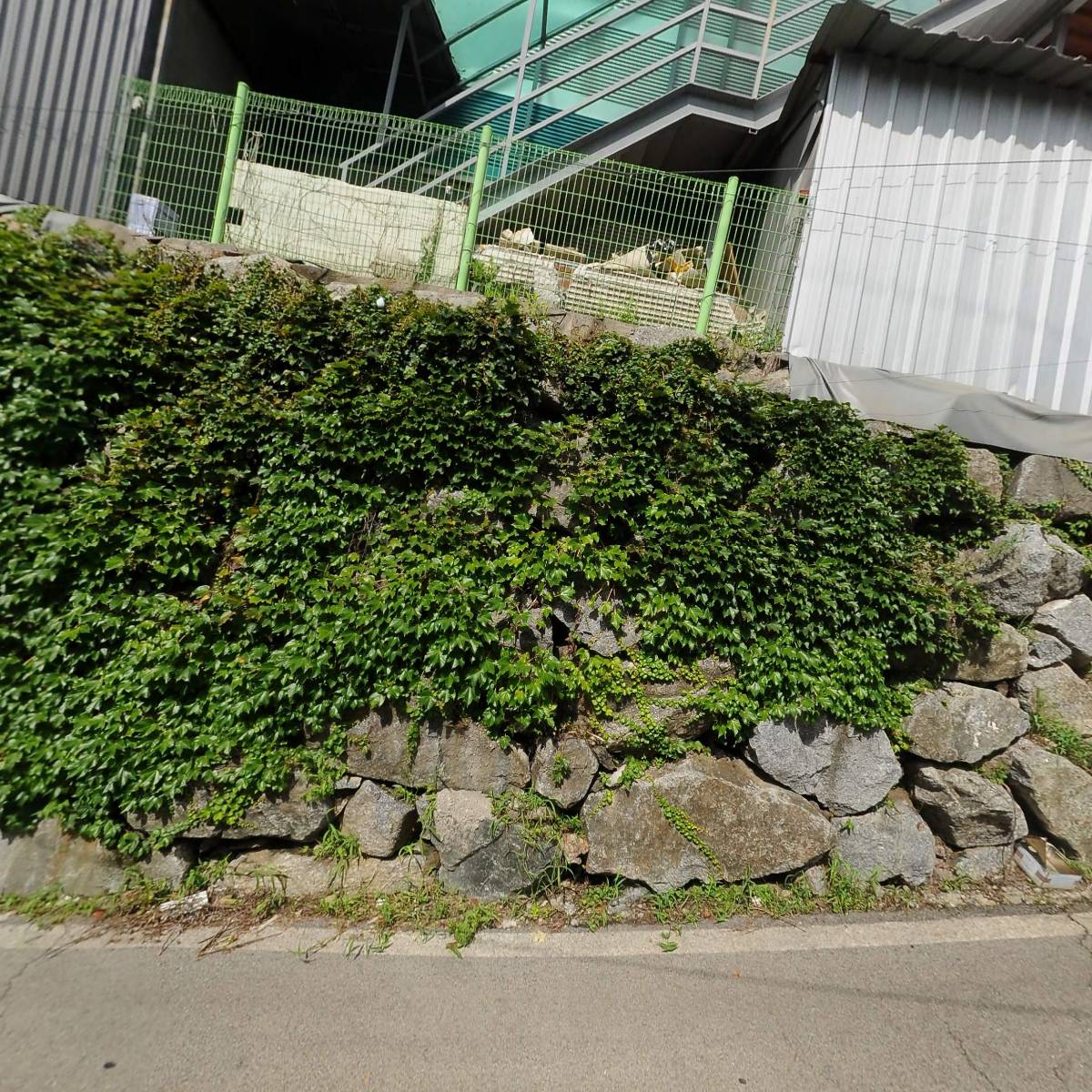 하나Art_3