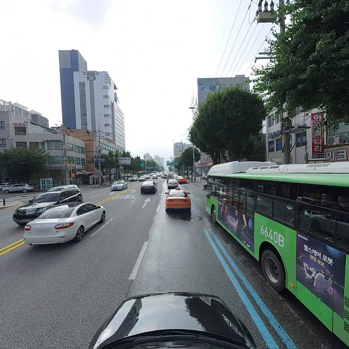 따담_4