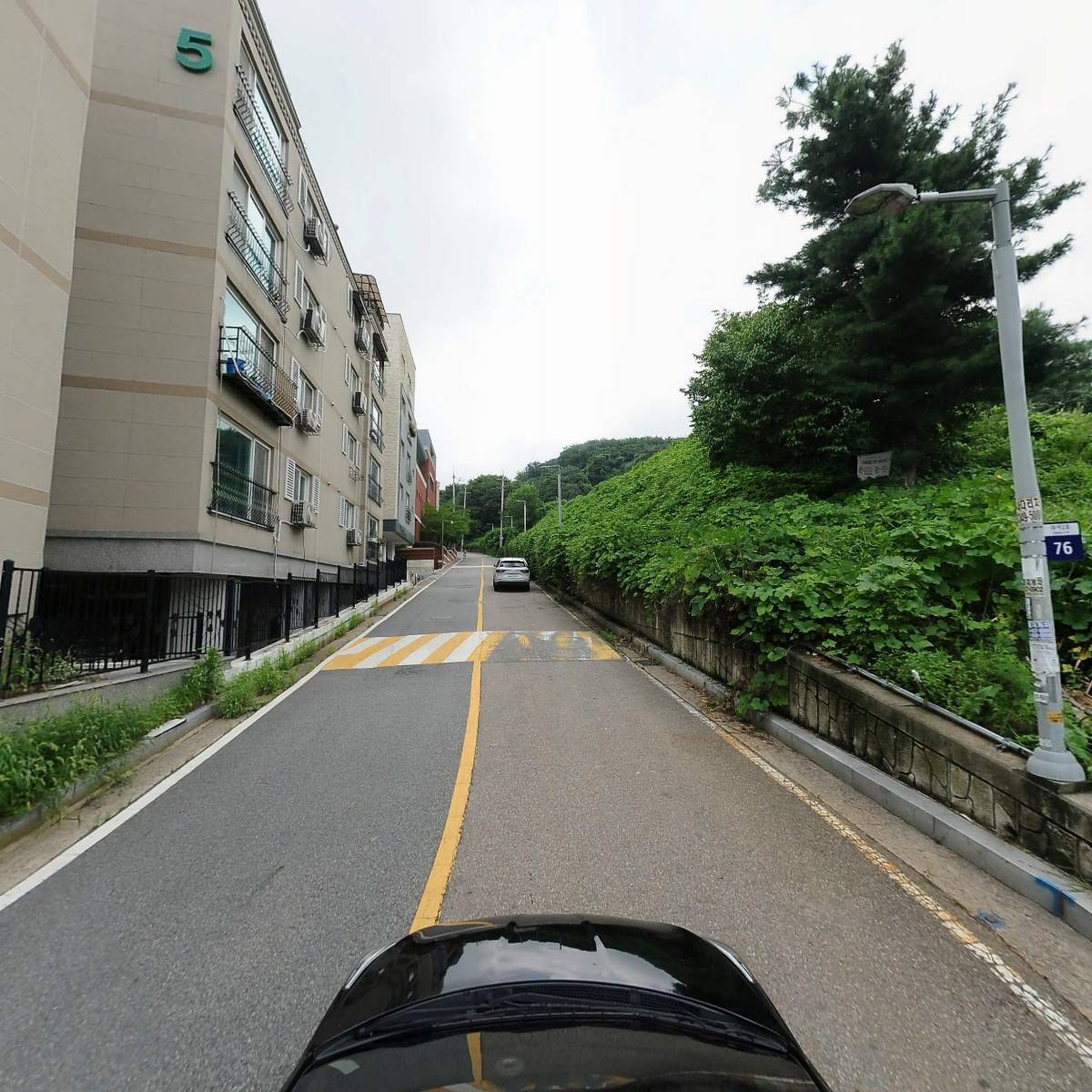 디어로즈_4