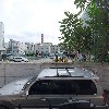 펫팸(PETFAM)