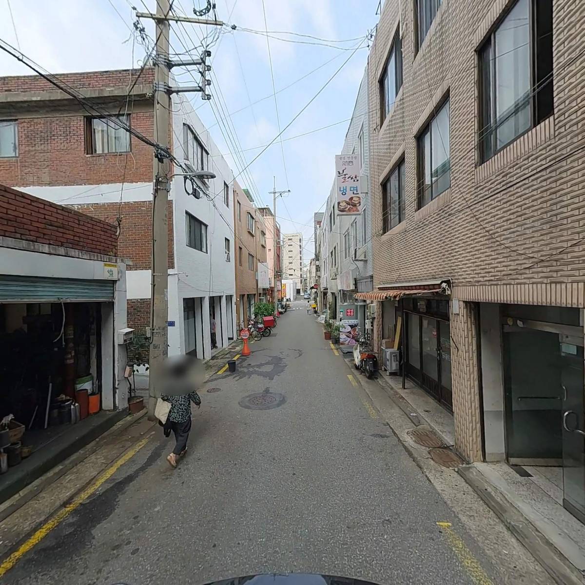 다네코 코리아_2