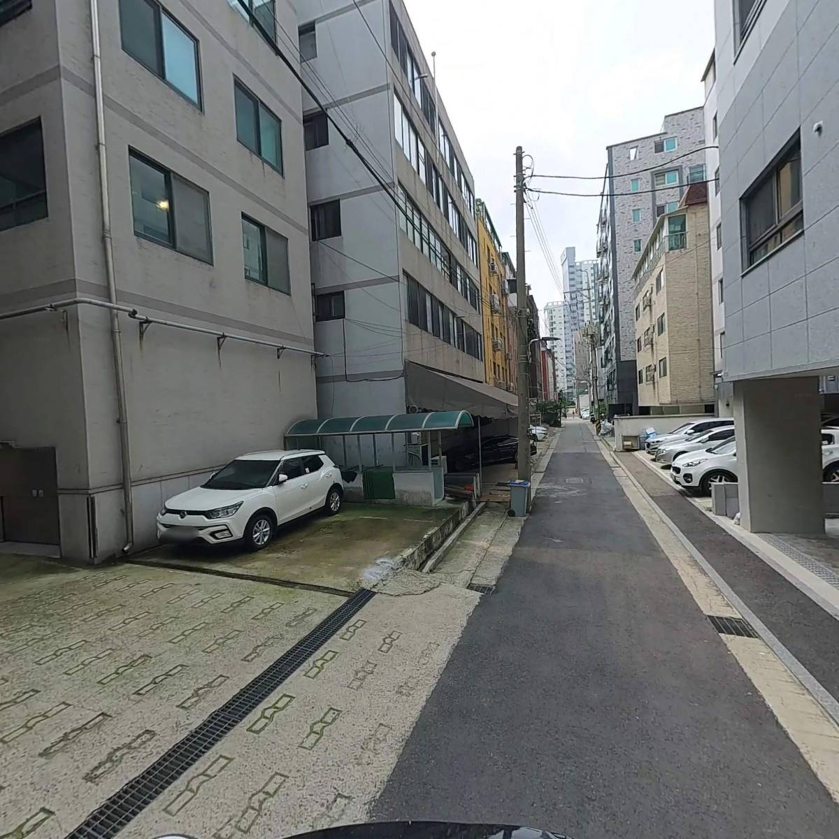 세로파_2