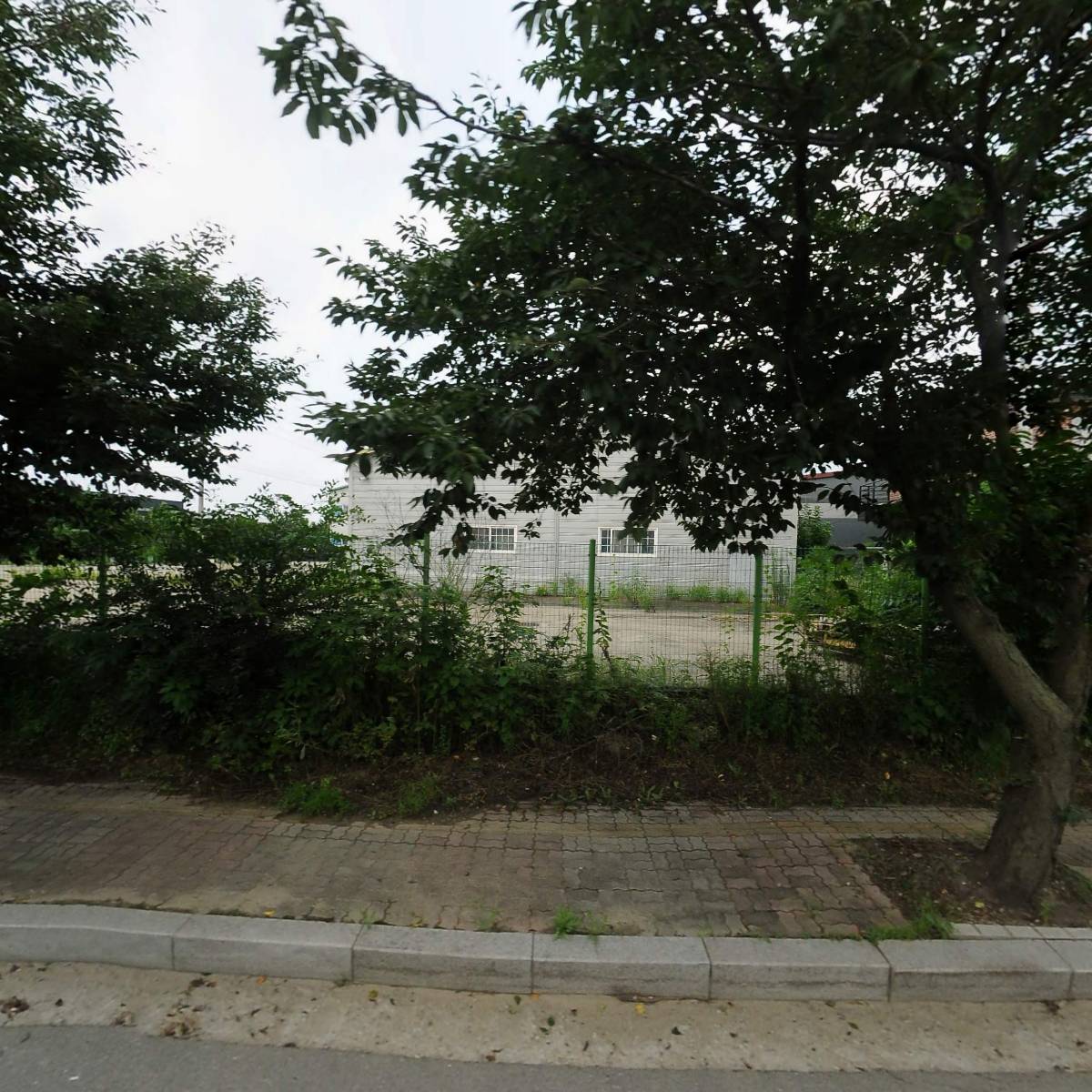 팜스코