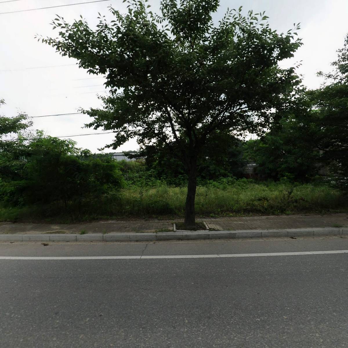 팜스코_3