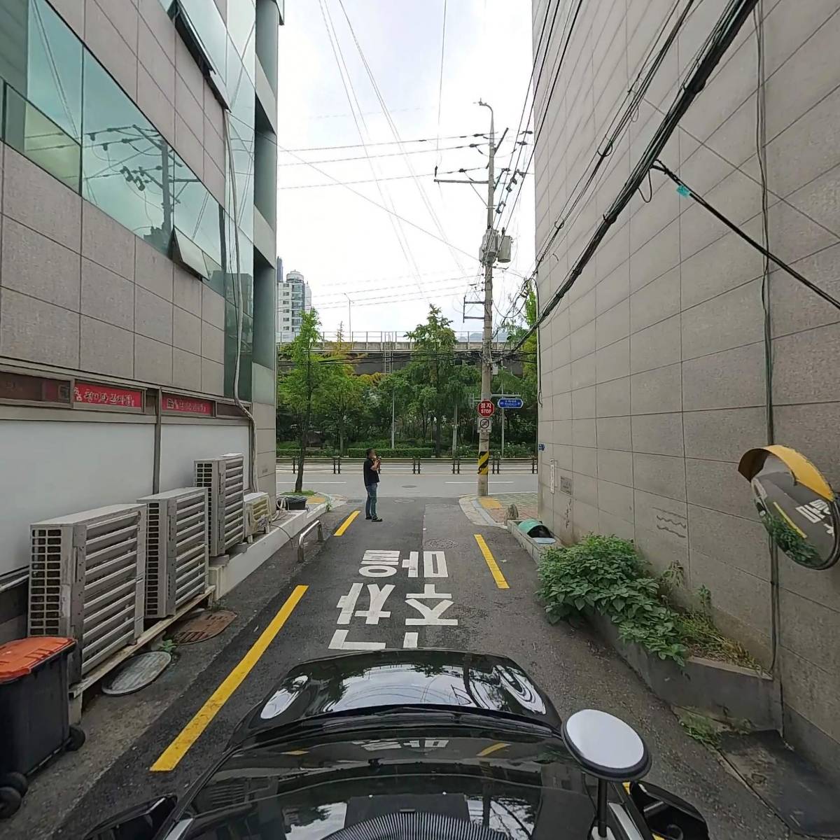 진영어패럴_4