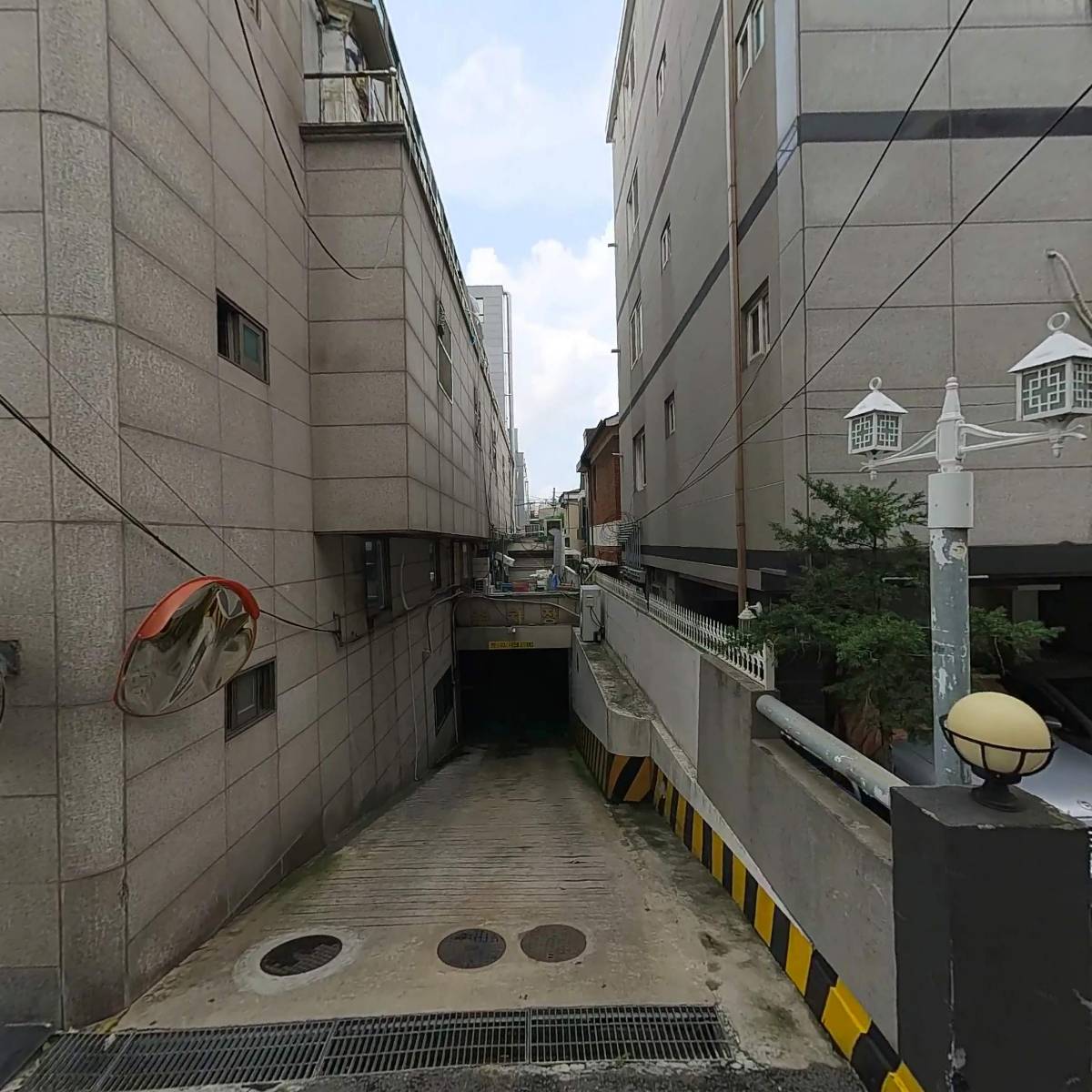 진영어패럴