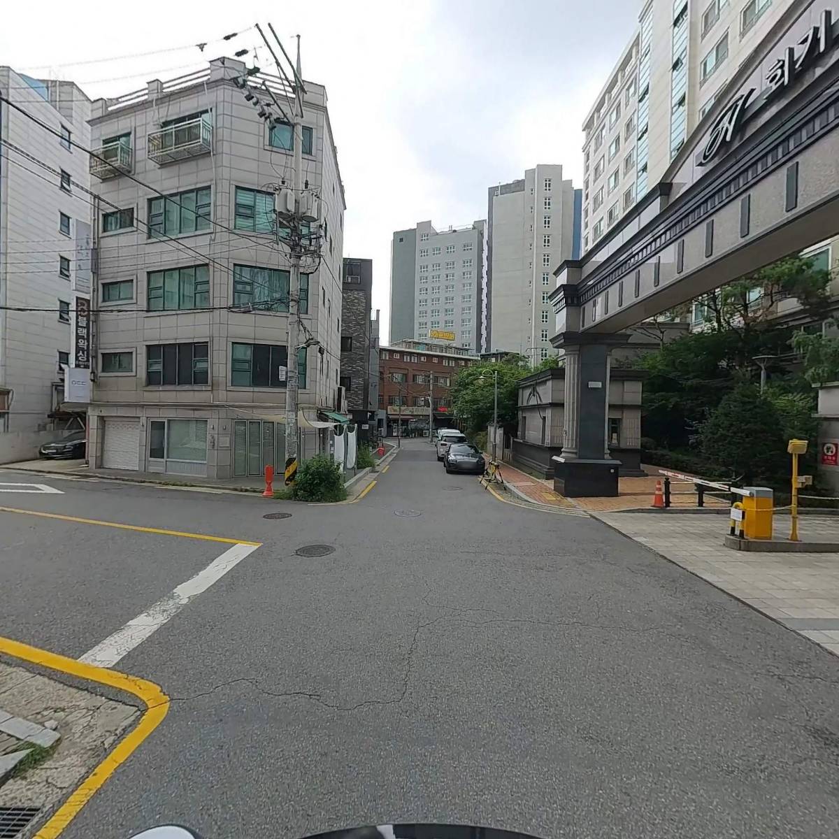 봄봄동물병원_2