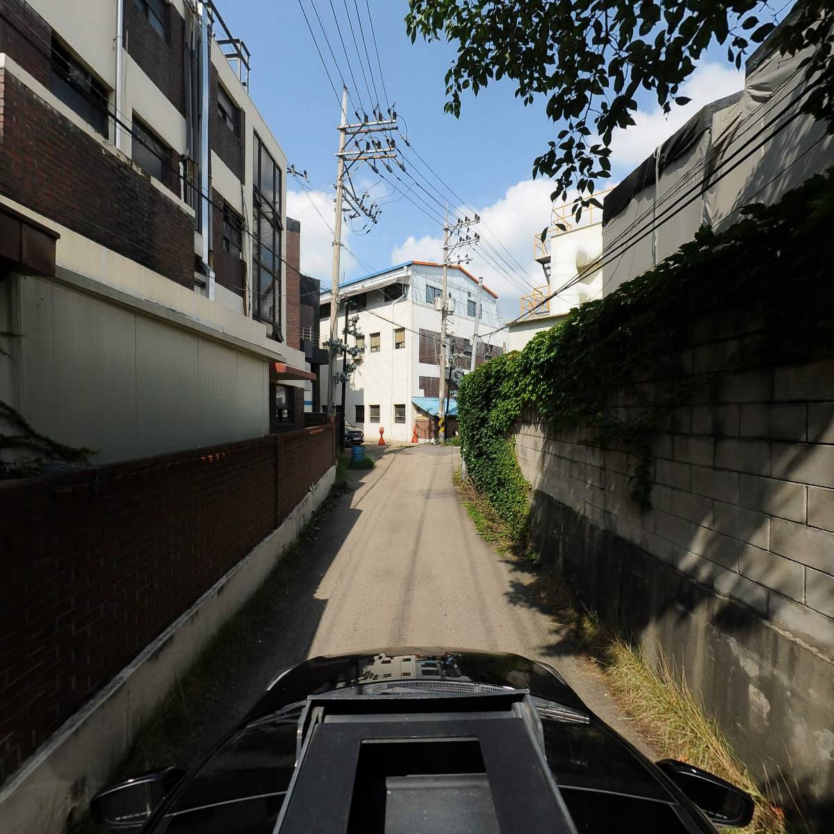 쁘띠아누(PETIT ANNEAU)_4