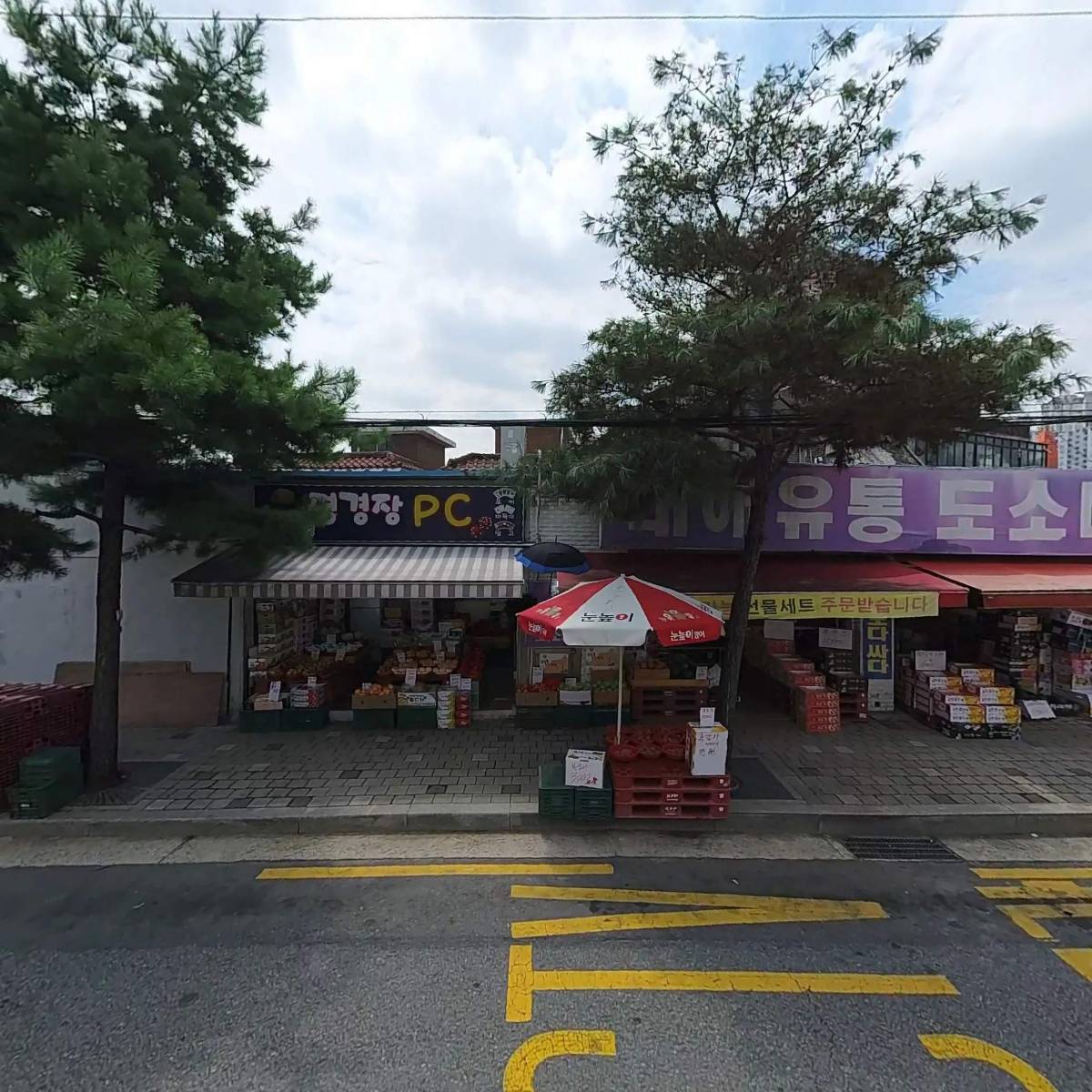 세진어패럴